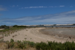 IMG 8756
