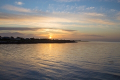 IMG 8800