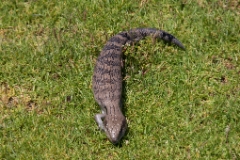 IMG 8843