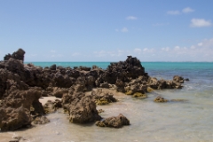 IMG 8871