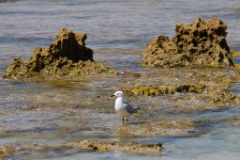 IMG 8877