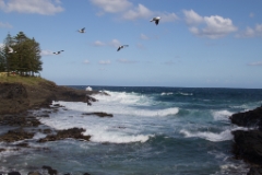 IMG 9697