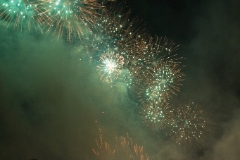 IMG 9784