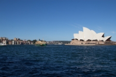 IMG 9808