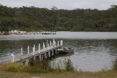 IMG 9445