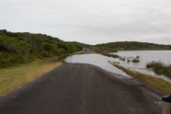 IMG 8952