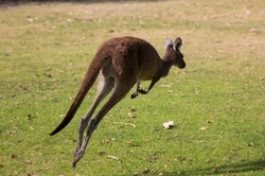 IMG 8538