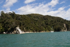 IMG 0233