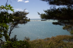 IMG 0257