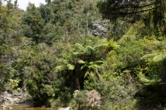 IMG 0270