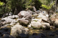 IMG 0271