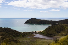 IMG 0282