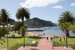 IMG 0319