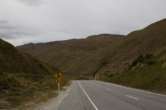 IMG 0036