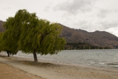 IMG 0041