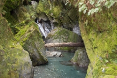 IMG 0067