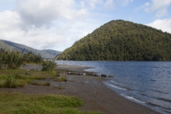 IMG 0105