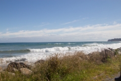 IMG 0115