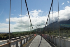 IMG 0118