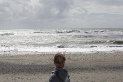 IMG 0132