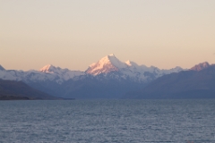 IMG 9969