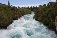 IMG 0337