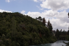 IMG 0350