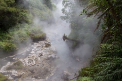 IMG 0376