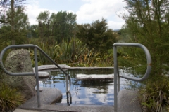 IMG 0386