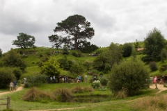 IMG 0420
