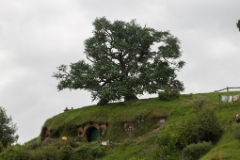 IMG 0432