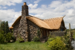 IMG 0476