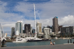 IMG 0490