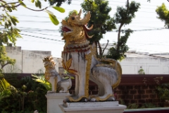 IMG 0499