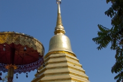IMG 0501