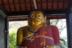 IMG 0527