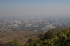 IMG 0535