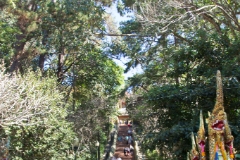 IMG 0543