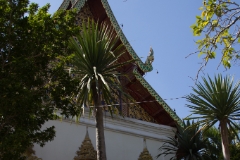 IMG 0545