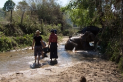 IMG 0603