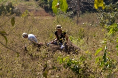 IMG 0638