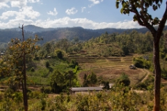 IMG 0661