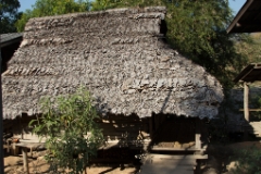 IMG 0725