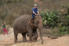 IMG 0848