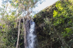 IMG 0920