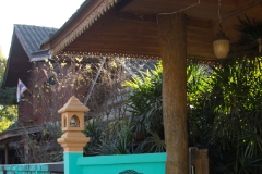 IMG 0941
