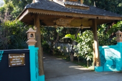 IMG 0942
